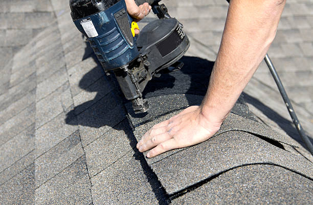 Best Roof Maintenance and Cleaning  in Southchase, FL